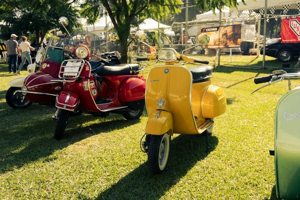 Dissection de l'éternelle Beauté française